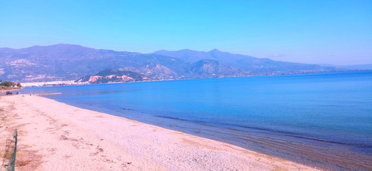 Artemis Suites Βόλος Εξωτερικό φωτογραφία